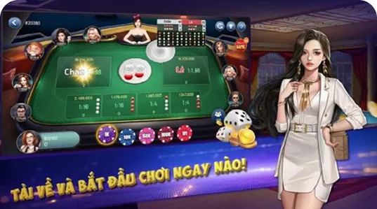 Đặt cược linh hoạt theo màu, chẵn lẻ hoặc số